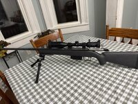 IMG_3118.jpeg