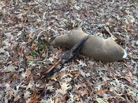 IMG_5503.jpeg
