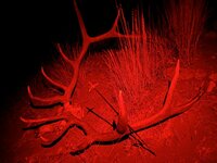 IMG_5991.jpeg