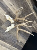 IMG_4891.jpeg