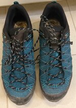 IMG_1419.jpeg IMG_1419.jpeg