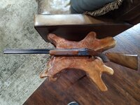IMG_20251014_100319318.jpg