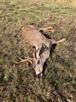 IMG_3148.jpeg
