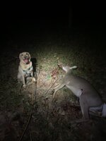 IMG_1111.jpeg