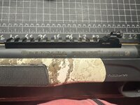 IMG_3091.jpeg