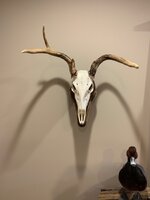 IMG_3260.jpeg
