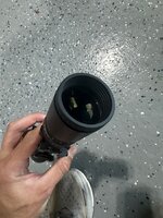 IMG_1775.jpeg