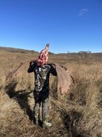IMG_9983.jpeg