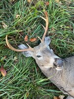 IMG_4613.jpeg