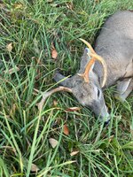 IMG_4612.jpeg