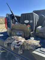 IMG_6242.jpeg