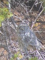 IMG_4584.jpeg