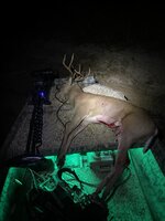 IMG_1291.jpeg