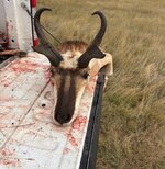 IMG_6117.jpeg