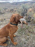 IMG_1407.jpeg