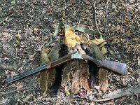 IMG_7047.jpeg