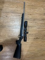 IMG_5446.jpeg