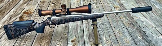 Tikka 22 CM.jpg