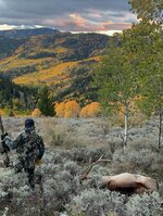 IMG_9541.jpg