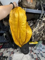 IMG_0227.jpeg