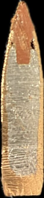 IMG_8195.jpeg