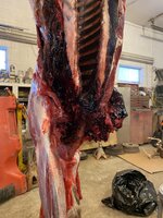 IMG_2998.jpeg