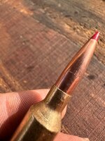 IMG_8218.jpeg