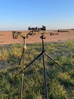 IMG_9247.jpeg