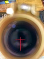 IMG_8239.jpeg