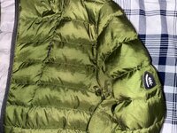 IMG_8010.jpeg