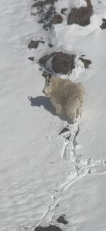 IMG_9250.jpg
