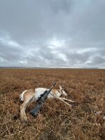 IMG_3970.jpeg