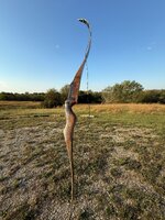 IMG_8219.jpeg
