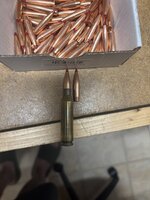 IMG_2884.jpeg