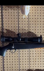 IMG_6258.jpeg