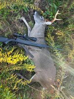 IMG_4737.jpeg