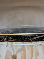 IMG_0246.jpeg