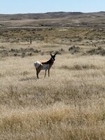 IMG_3746.jpeg