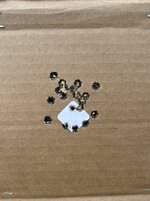 IMG_2353.jpeg
