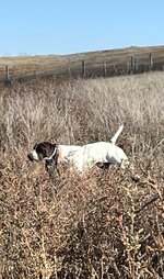 IMG_3914.jpeg