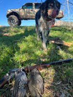 IMG_2917.jpeg