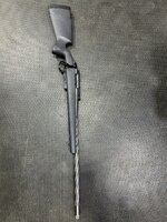 IMG_8871.jpeg