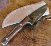 South Bay Skinner 1.jpg