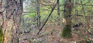 20251018_094658.jpg