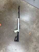 IMG_6533.jpeg
