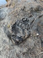 IMG_0414.jpeg