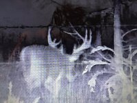 IMG_0762.jpeg