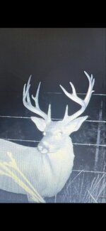 IMG_0028.jpeg