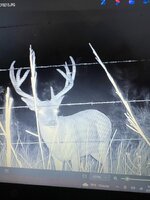 IMG_0027.jpeg