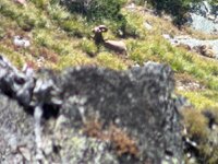 IMG_9214.jpeg